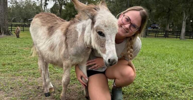 We Found a Little Florida Ranch Where Adorable Miniature Donkeys Steal the Show