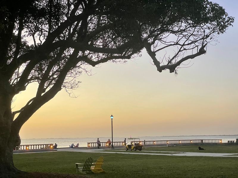 Students Get Scenic Views Without Leaving Campus