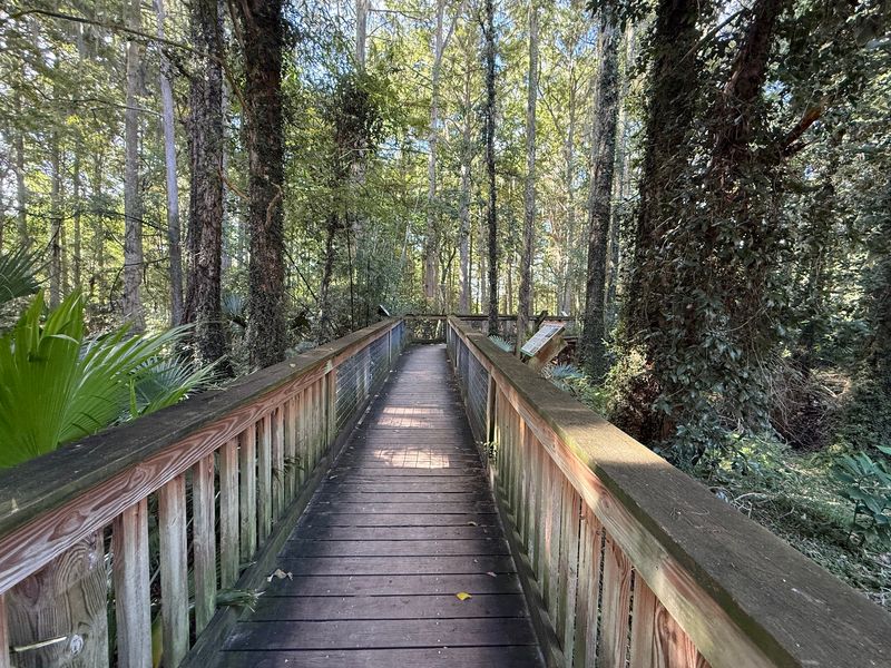 A Seven-Mile Florida Trail That Feels Far From Civilization