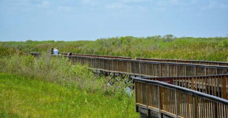 You Don’t Have to Drive South to Find the Everglades – There’s a Piece of It in Palm Beach County