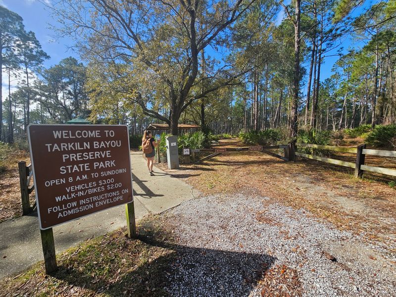 Tarkiln Bayou Preserve Feels Like One of Florida's Most Otherworldly Nature Stops